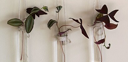 Florero individual para pared